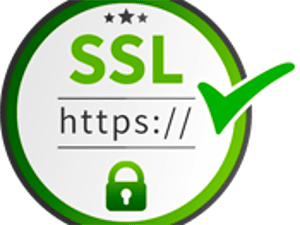 Selo de Site 100% Seguro